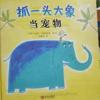 👪《抓一头大象当宠物》