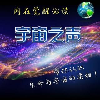 《宇宙之声》4.第四章 生命的极致存在状态