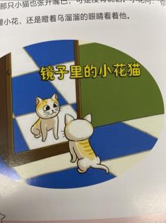 《镜子里的小花猫》上