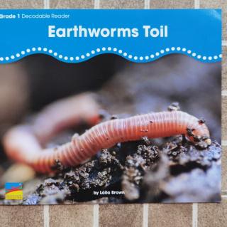 Earthworms Toil