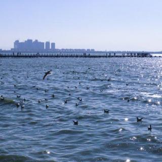 海恋诗二首 诵  雪花飘飘