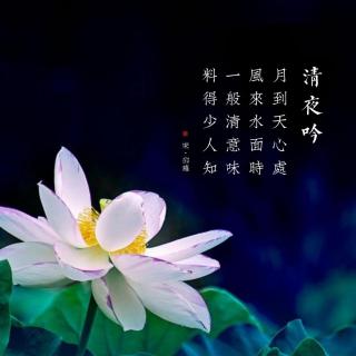 44.清夜吟 邵雍