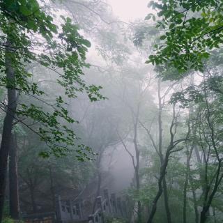 《秋雨》张爱玲