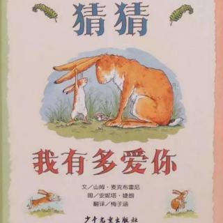 《猜猜我有多爱你》