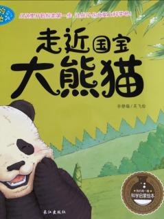 《走近国宝大熊猫🐼》