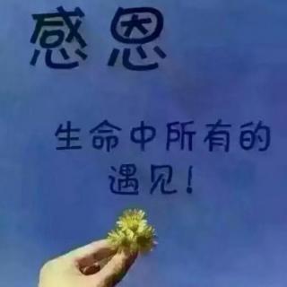 家越平淡越幸福