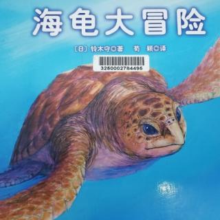 海龟大冒险【日】