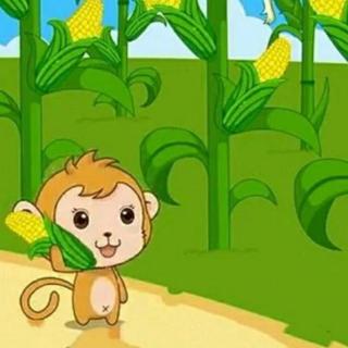 《小猴子掰玉米》宁宁姐姐