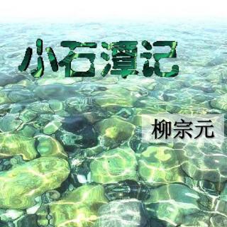 《小石潭记》/唐•柳宗元|朗诵：茉莉芬芳