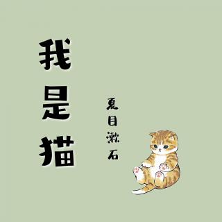 我是猫-03