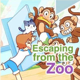 《Escaping From The Zoo》(下)