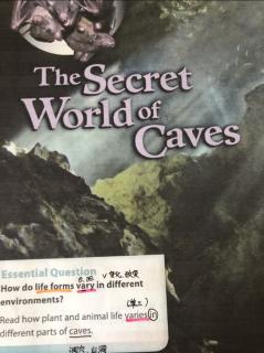 The Secret World of Caves