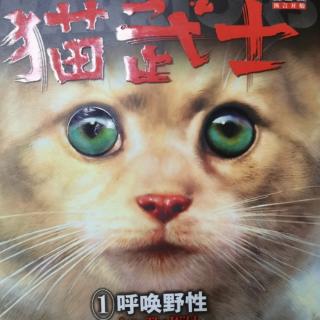 《猫武士之呼唤野性》——第二章（上）