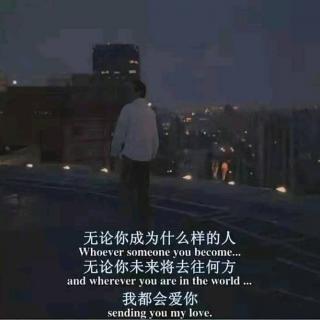 貓貓流浪記 - 蜜 柑🚇