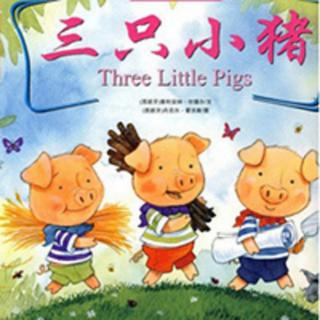 第13期《三只小猪盖房子》