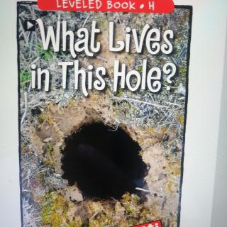 What lives in this hole?