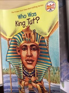 Who Was King Tut Chapter 8 and 9
