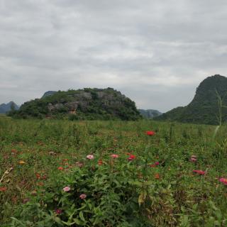 窗边的小豆豆