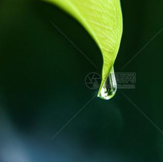 山雨