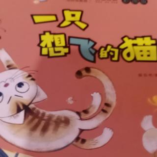 一只想飞的猫