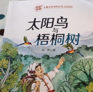 太阳鸟与梧桐树 :《会飞的图画 》