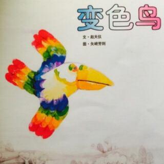 《儿童绘本故事——变色鸟》