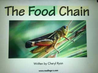 The Food Chain