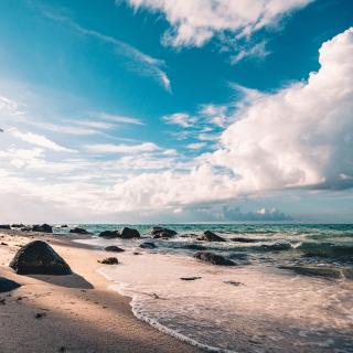 海浪声🌊 梦回海滩