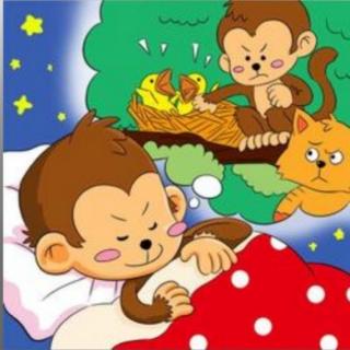 《不爱睡觉的小猴子》