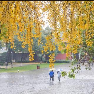 陈东《秋雨》作者程宝玉