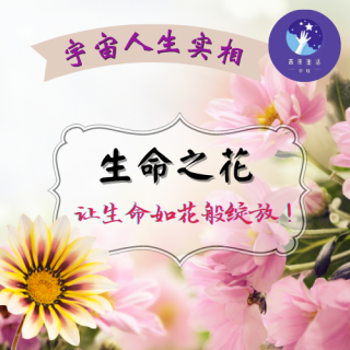 《生命之花》8.欢畅淋漓地绽放生命之花