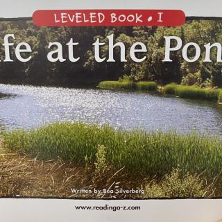 RAZ LevelI 805 - Life at the Pond