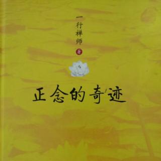 《正念的奇迹》第八章 32个正念的练习19：慢动作洗个澡