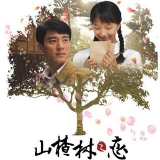 《山楂树之恋》-12（他有未婚妻了？）