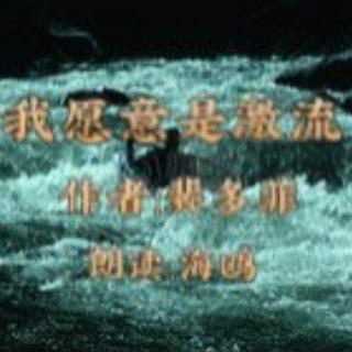 海鸥朗读《我愿意是激流》（作者:裴多菲）