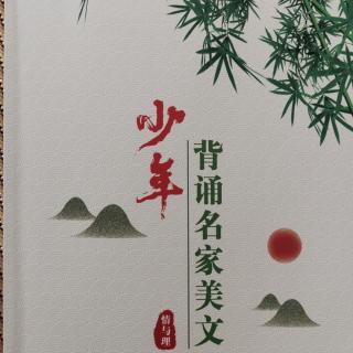 《向光明走去》郑振铎