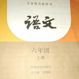 丁香结