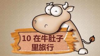 10《在牛肚子里旅行》