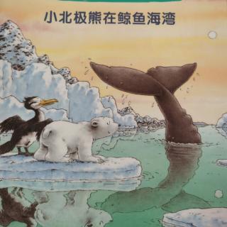 430—《小北极熊在鲸鱼海湾》