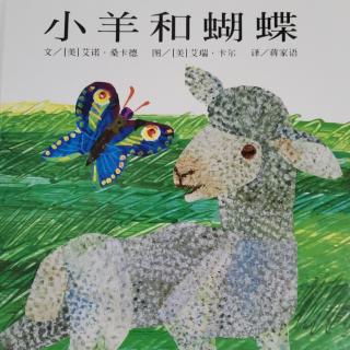 卡蒙加禹香苑幼儿园小马老师——《小羊和蝴蝶》