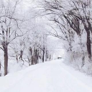 03《艾青诗选•雪落在中国的土地上》