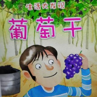 《生活大发现葡萄干》