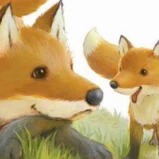 【艾玛读绘本】Little Fox Little Fox