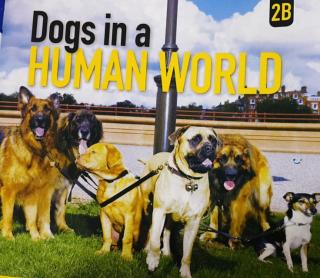 Dogs in a human world