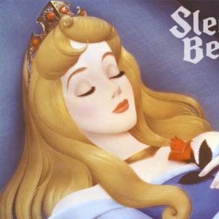 《Sleeping Beauty》睡美人