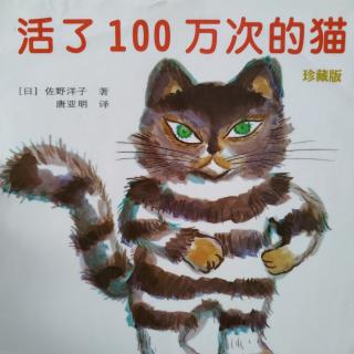 活了100万次的猫0828