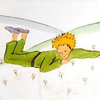 The Little Prince - Chapter 20