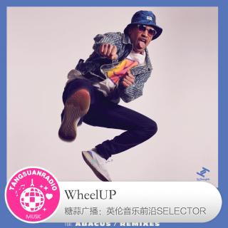 WheelUP·糖蒜爱音乐之The Selector
