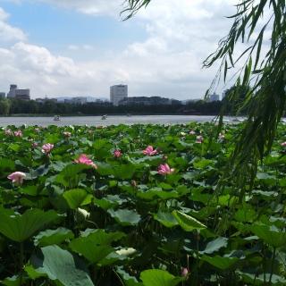 《孩子，把你的手给我----总结:如何养育孩子---养育的目标是什么》