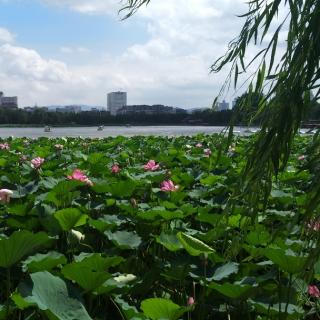 培养目标感悟